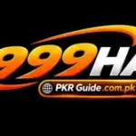 999HA Game